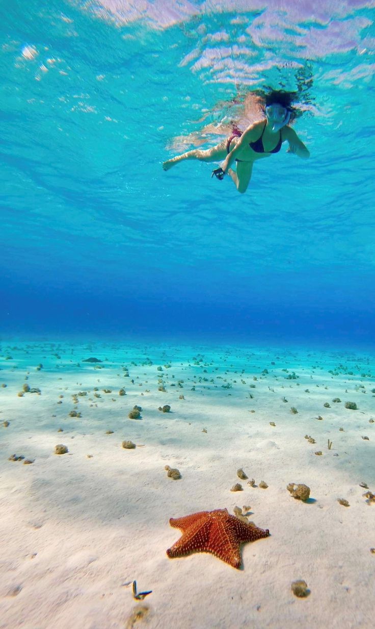 Cozumel Jeep/Buggy + Snorkel