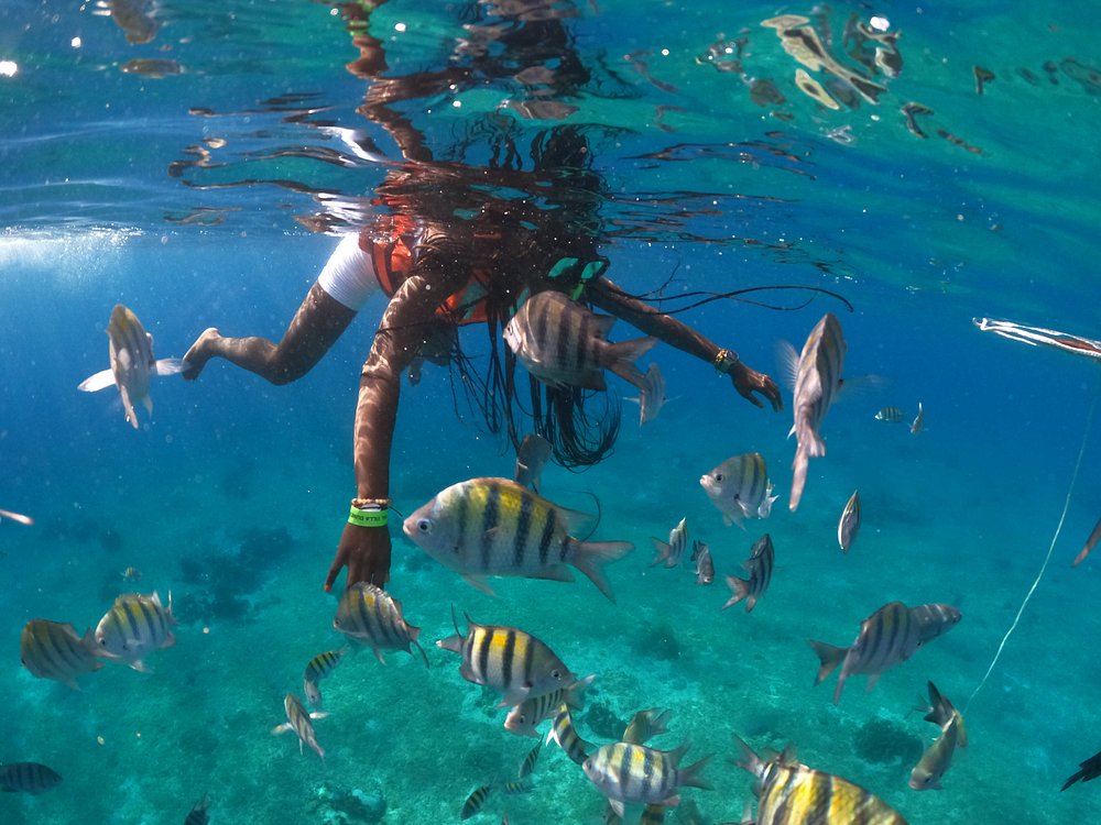 Cozumel Combo Cielo y Clear Boat