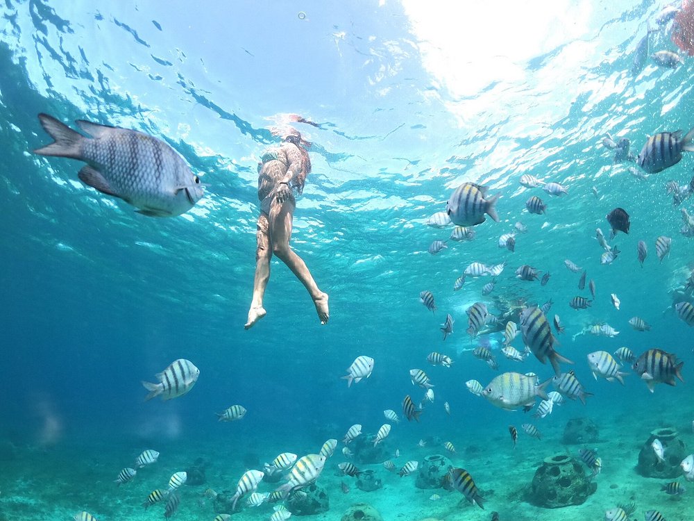 Cozumel Combo Cielo y Clear Boat