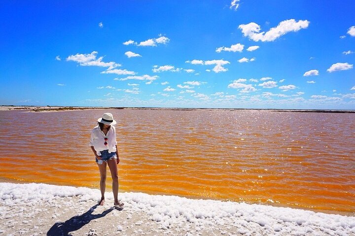 Coloradas y Rio Lagartos